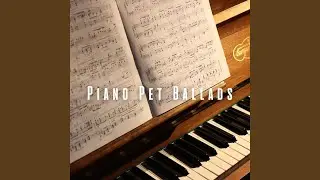 Calming Pet Piano