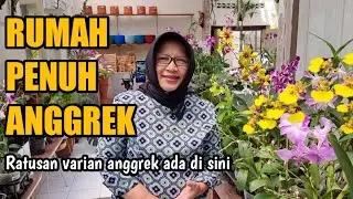 Orchid Garden Tour : Rumah Inspiratif Penuh Dengan Anggrek ( @Anggrek Astuti)