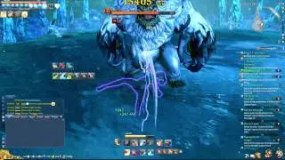 [Blade & Soul] Sloppy Avalanche Den clear (Sin Solo)