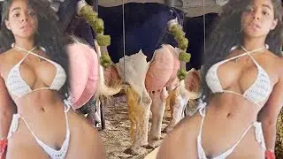Farm Girl #WithMe Animal Rescue Smart Farming Cow Farming Milking 2022
