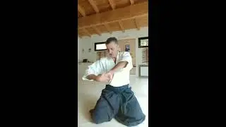 AIKIDO PARTE 3    Esercizi arti superiori -pratica individuale