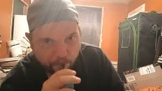 Reviewing 3 new dabcarts called Rainbow Belts, Golden Pineapple, & Key Lime Pie.💨🌈 🪙🍍🗝️🍋&zwj;🟩🥧...!!!!