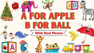 ABC Alphabet Learning with Real Images | A for Apple, B for Ball | Kids, Toddler Educational Video
