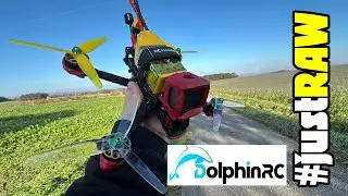 China Apex von Sologood mit DolphinRC 2207 Brushless Motor