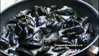 готовим мидии с ларуссия prepare mussels travel larussia