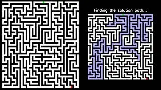 Escape the Maze