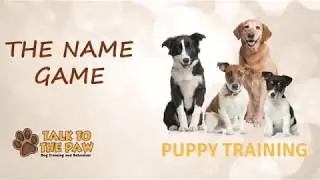 Talk to the Paw The Name Game