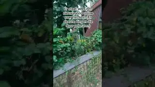 Ga jij de video kijken?