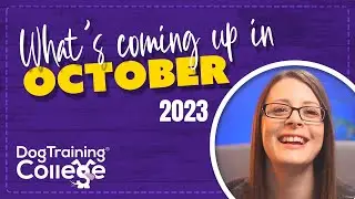 What's coming up | October 2023 (+ Charity of the Year announcement)