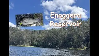 Enoggera Reservoir Bass Fishing (Oct 2025)