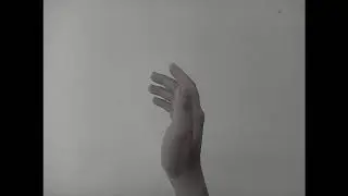 Mirroring Hand Movie