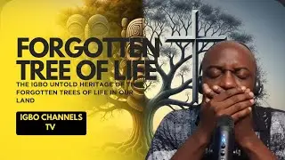 THE FORGOTTEN TREES OF LIFE: WHAT OUR IGBO ANCESTORS KNEW THAT WE IGNORE TODAY