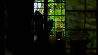 4k Sad Rain Status...❣️&hearts;️................