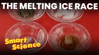 The Melting Ice Race | Smart Science S1E31 | FULL EPISODE | Da Vinci