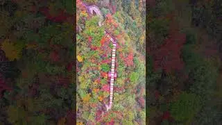 Red leaves and autumn colors, colorful staircases, the most charming scenery on the Chaibu River