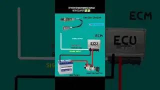 oxygen sensor wiring diagram