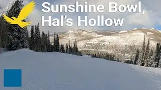 Solitude - Sunshine Bowl to Hal's Hollow