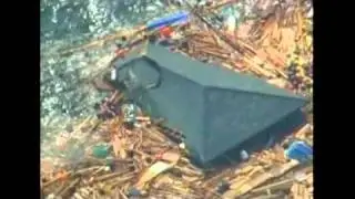 Dog Found at Sea after Japan Earthquake Tsunami