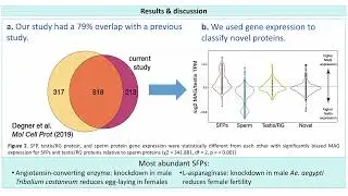 Expanded characterization and localization of male seminal... - Sara Villa - Poster - LATAM 2024