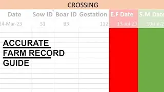My Record Keeping Guide to Track My Pig Farm's Profitability (Template)