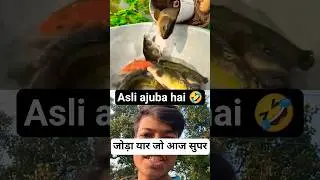 Amazing Plastic Pipe Fishing Trap &ndash; Smart Fish Catching Technique! #shorts