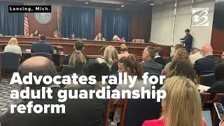 Michigan senate reviews bills to reform guardianship, advocates rally for change