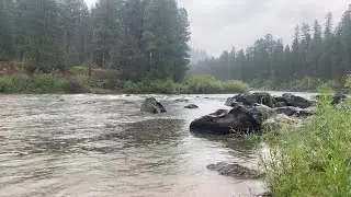 Fly Fishing for Trout - Jonsrud and Clark Fork River