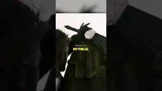 The Tool That Allowed Vikings To Navigate Without Compass | Good Old Days