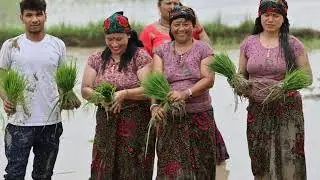 Discover the Rich Culture of Igorot Tribe of the Philippines 👑👑