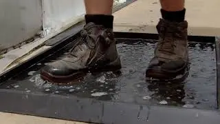 Principles of good biosecurity: come clean/go clean