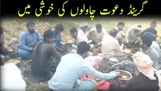 Rise crop harvesting at sunny day | we prepared a huge lunch | rural buddy 