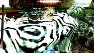 Swsro 2 | Sexmode killed Tiger Girl