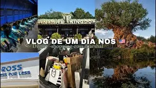VLOG🇺🇸- ross,Disney 