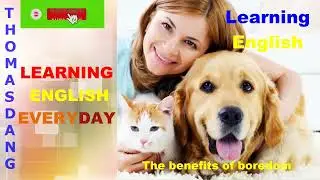 Do our pets care about us - Learning English everyday with Thomasdang