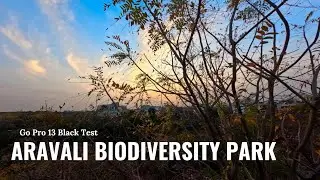 4 Min Peaceful Nature Walk in Aravali Biodiversity Park | GoPro 13 Black