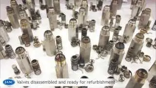 JASC Liquid Fuel Check Valve