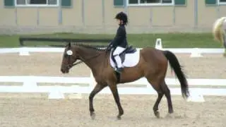 2010 Lendon Gray Youth Dressage Festival - Dressage4Kids