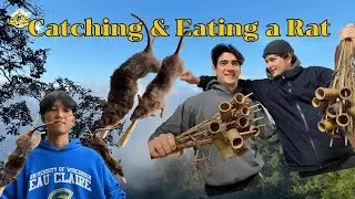 Catching & Cooking a Wild Rat #abujatrekking