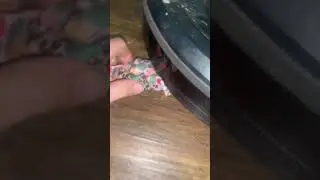 Robo vet