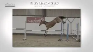 Bolesworth Elite Auction 2015 Yearlings