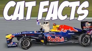 Top 10 Cat Facts!