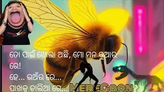 ​🔥 HIGH VOLTAGE: ଭଅଁର ରେ (Bhanara Re) | New Odia DJ Song 2026 | Full Dance Mix