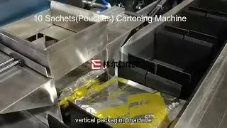 10 Sachets Pouches Cartoning Machine  Sachet Pouch Cartoner Machine