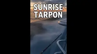 Sunrise Fly Fishing for Juvenile Tarpon in the Florida Keys Backcountry   Captain Rich Smith