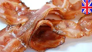 Artificial meat: Scientists grow bacon on blades of grass - TomoNews