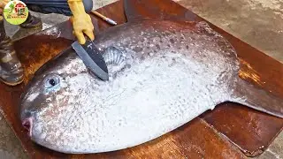 Amazing! Giant Sunfish Cutting Skills, Sunfish Atching, Sunfish Jelly | Farming Documentary