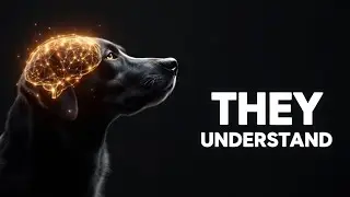 7 Signs Your Dog Is a Genius (According to Science)