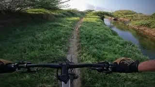 Aruba MTB Singletrack!