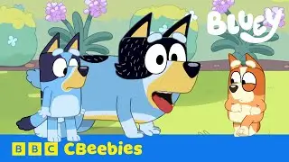 Bluey plays Sheepdog with Bingo and Dad | CBeebies