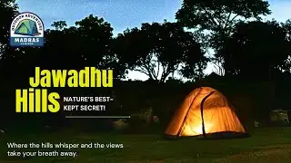 Escape the Scroll, Embrace the Wild! | Madras Campers - Your Nature Adventure Awaits ️